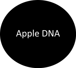 Apple DNA | Apple Ford Pro Elite Commercial Center in Lakeville MN